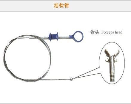 һ���Ի��ǯ