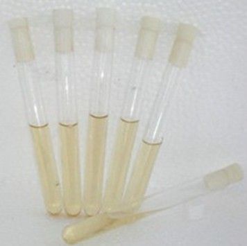 Ժ��������