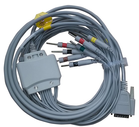 ֣������ҽ����е���