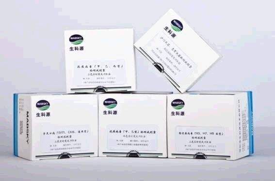 ���в���ר�����Լ��У�ʵʱӫ��PCR����