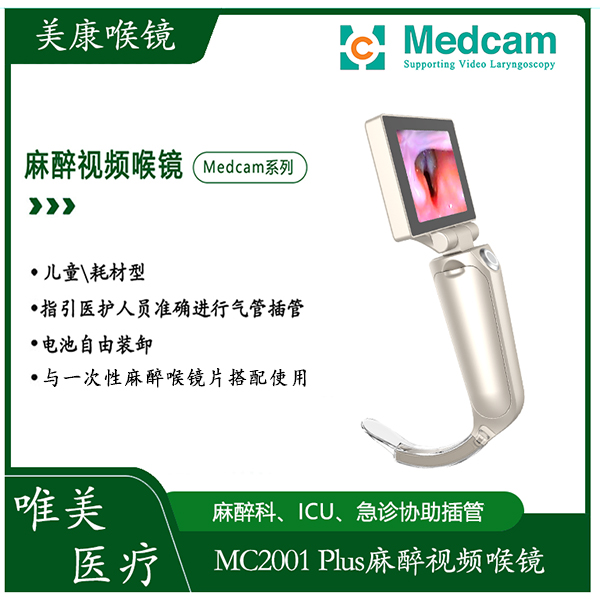 ������Ƶ����