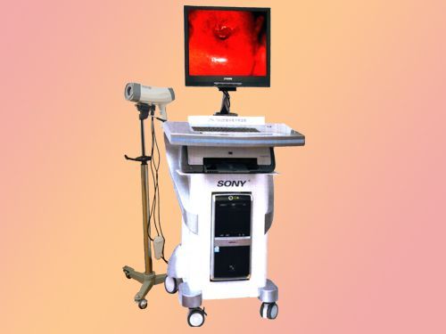 ��������������