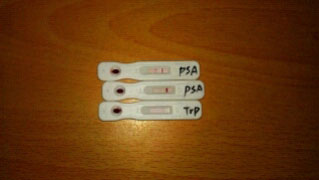 AFP (��̥����)�����Լ�