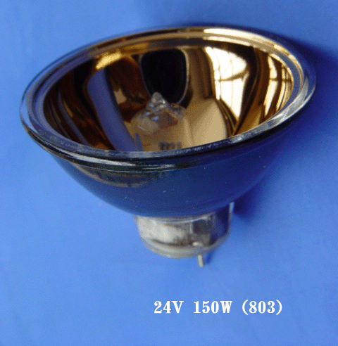 �����Ʊ�