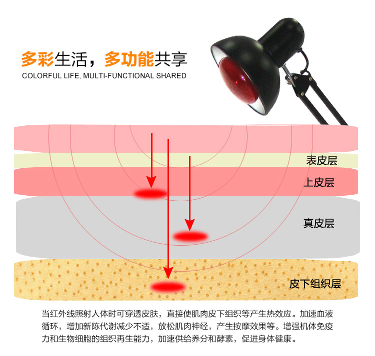 �������� �๦�����ú������������� ���ú������������Ƶ�