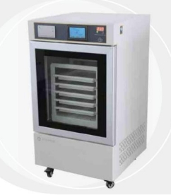 ѪС�屣����