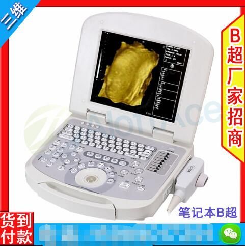 ��ѵ�Ʋʳ������������