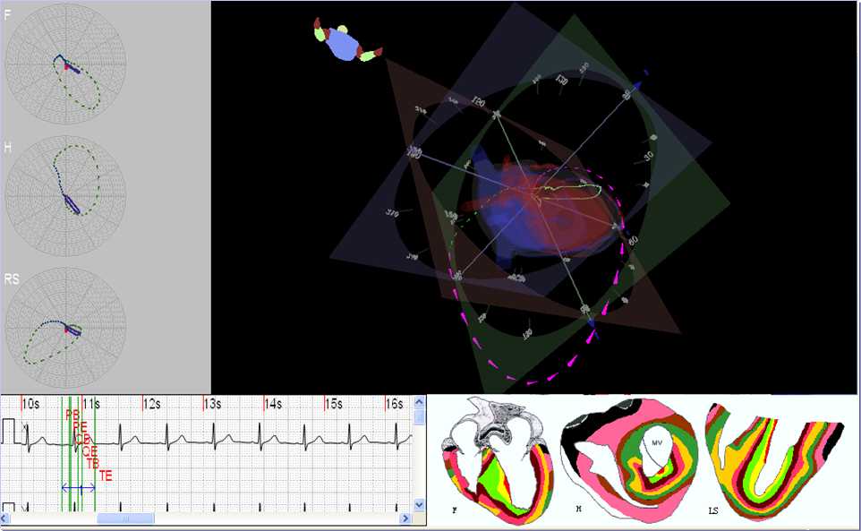 �����ĵ����ϵͳ