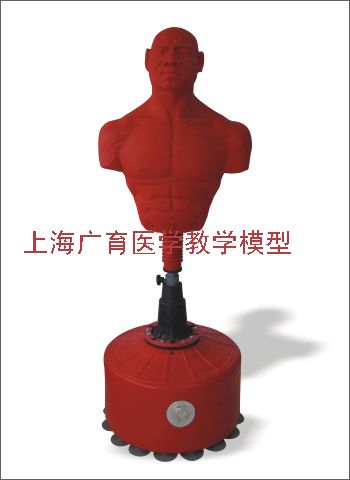 ����ģ����