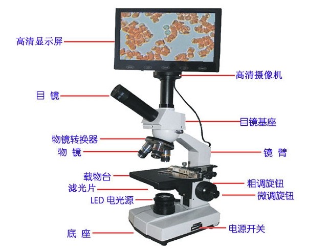 һ��Ѫϸ������ϵͳ