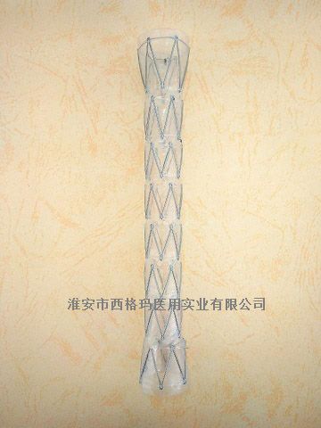 CZES��Ĥʳ��֧��