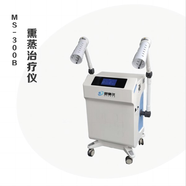 ˼�¶�Ѭ��������MS-300B