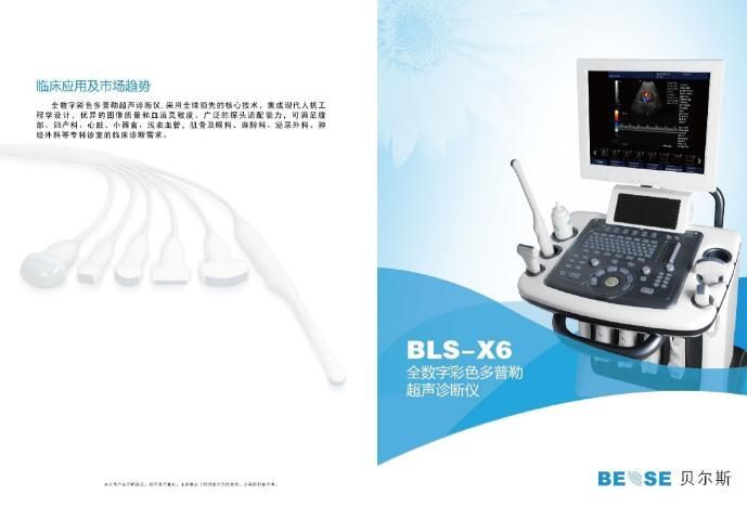 ȫ���ֲ�ɫ�����ճ��������