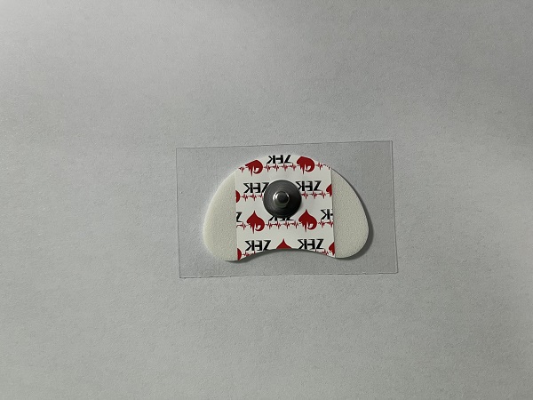 һ����ʹ���ĵ�缫