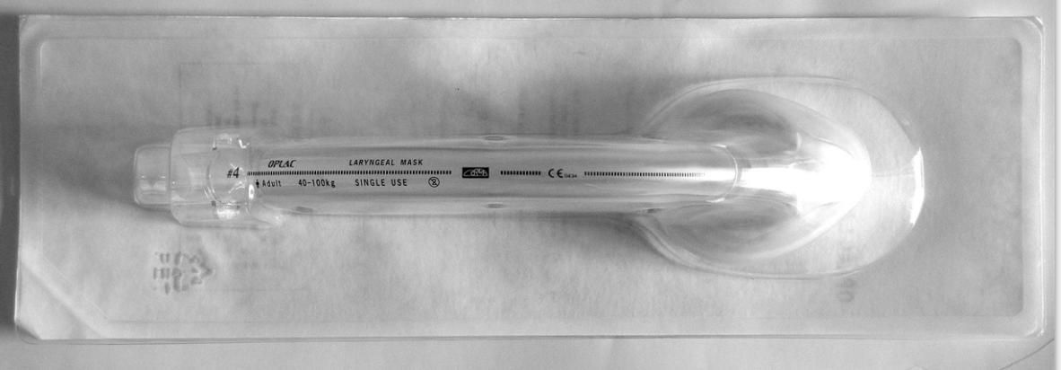 ̨�� ŷ���ֺ���