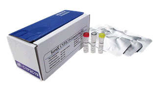 SureX CYP2C19�������Լ���