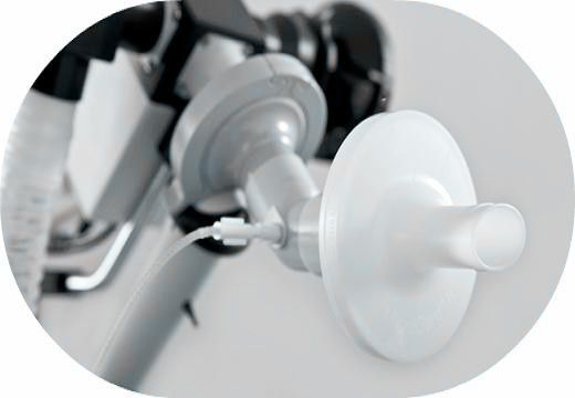 ϸ��������