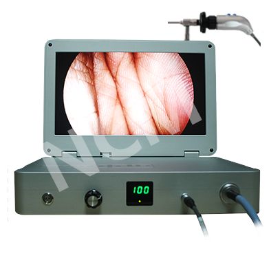 �����ڿ���