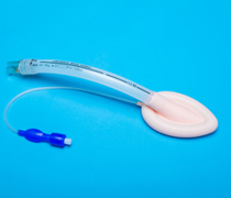 һ���Թ轺����