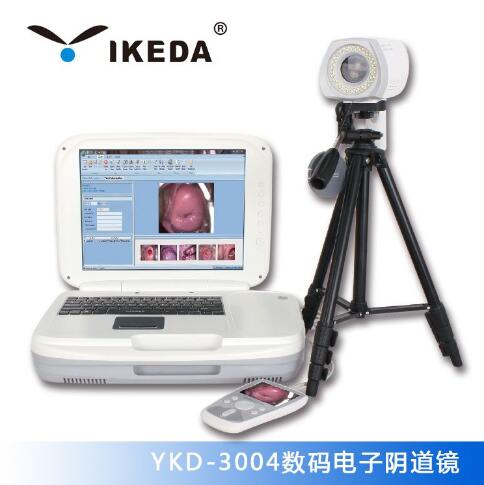 YKD-3004�������������