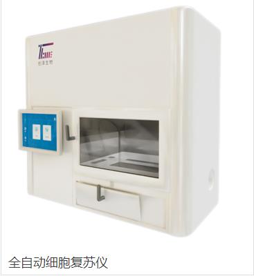 ϸ��������