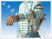 ���Ͻ������Ź���չ��