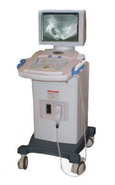 B�����Ӹ�����������