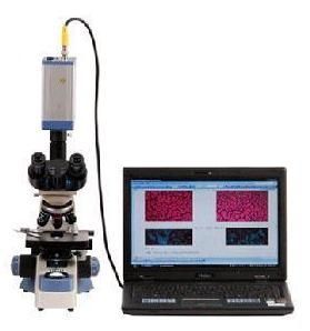 һ��Ѫ����ǣ�ѪҺ������