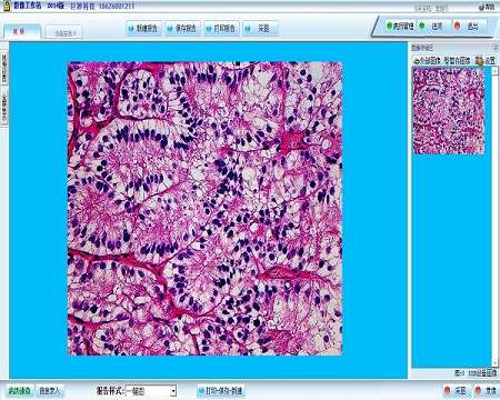 ����ͼ�ķ���ϵͳ