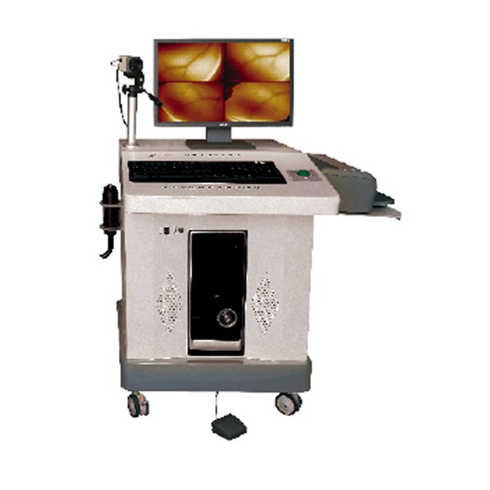 �������������