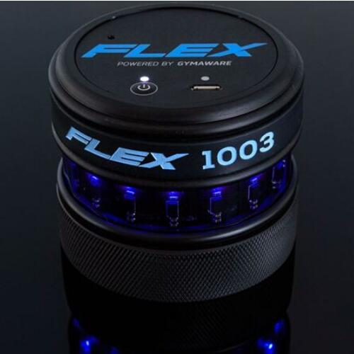 FLEX ���ܸ�������ѵ������ϵͳ