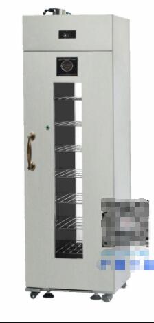 �����ܸ����