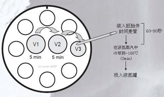 �������䶳�Լ��CS3