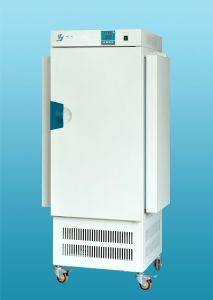 �̿ع���������