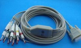 �����ߣ�����֫��