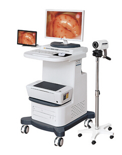 �������������������˫���͡�