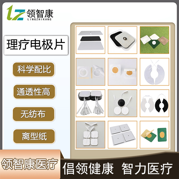 ���Ƶ缫Ƭ