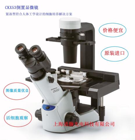 OLYMPUS������΢��CKX53