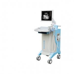 B�������