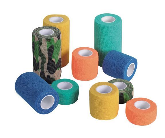 ��ճ���Ա���