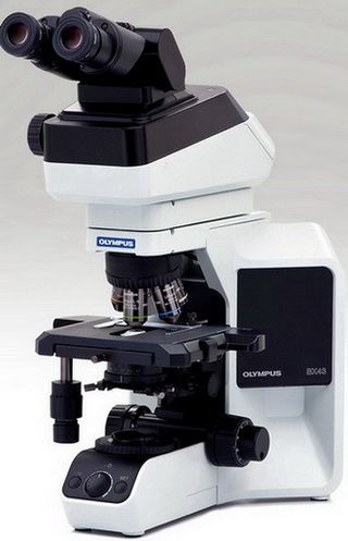 OLYMPUS����ӫ����΢��BX43