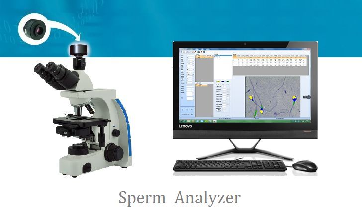 �������������ǵ����