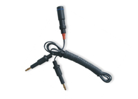 ������LSC