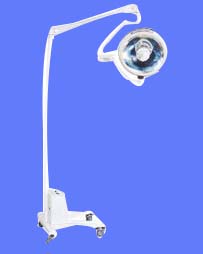 ���巴��������Ӱ��