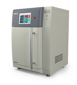 ����ѧX���߷�����