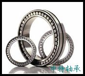 SKF���������