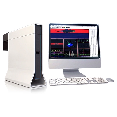 ��̬����ϵͳ ����̬����ϵͳ С��̬����ϵͳ