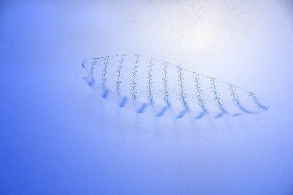 �»����޸�ǻ��ר��3D�޲�Ƭ