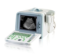 ���ֻ���ЯʽB��