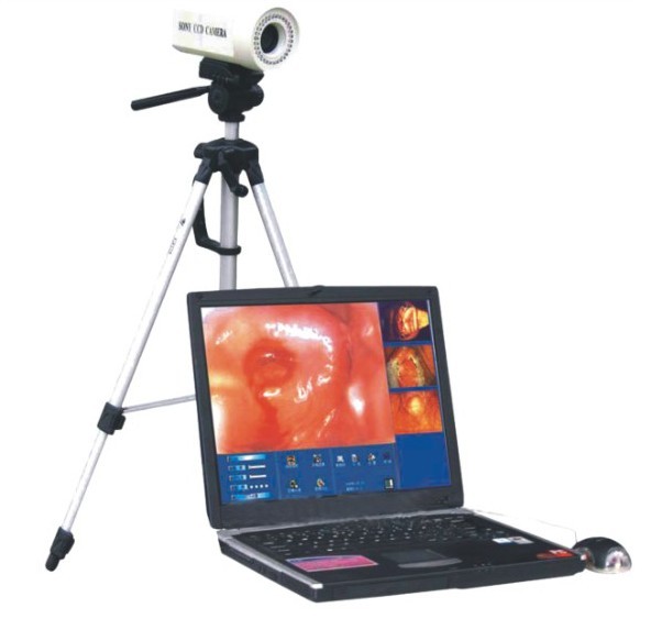 ��������������վ